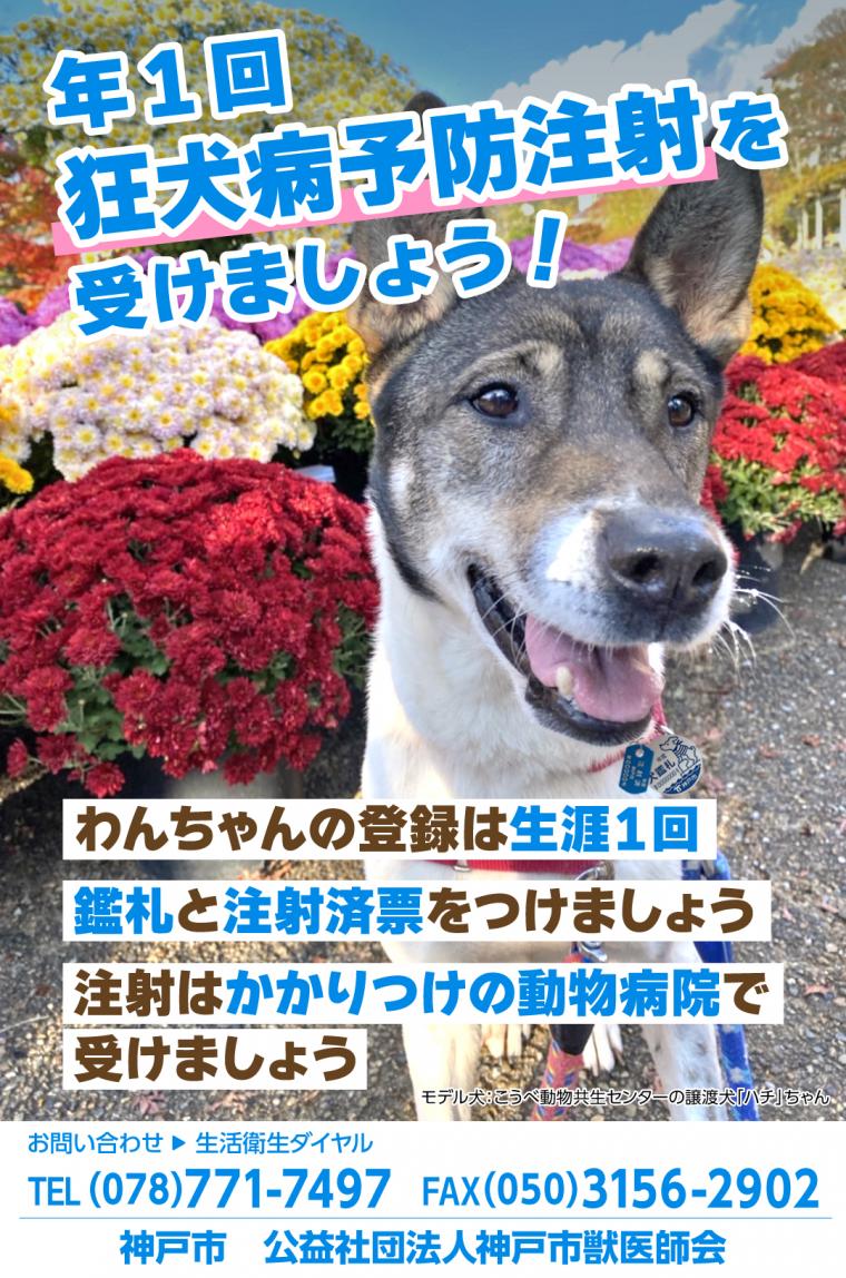 狂犬病サイネージ縦