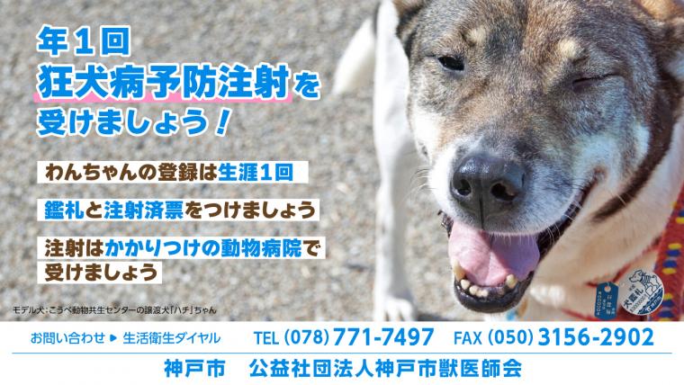 狂犬病サイネージ横