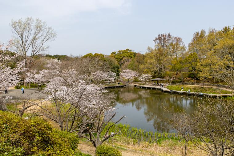 奥須磨公園