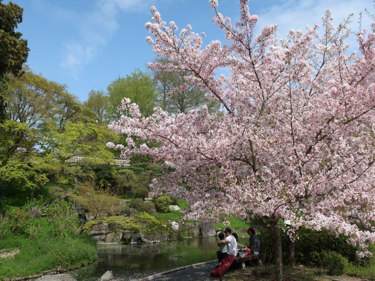 離宮公園