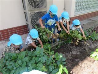 幼稚園で園児が遊ぶ様子