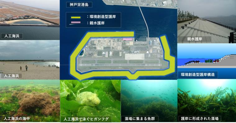 空港島の環境創造型護岸