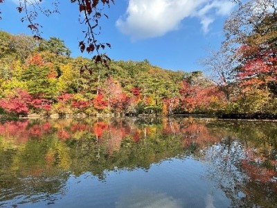 長谷池の紅葉