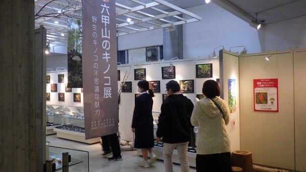 キノコ展1