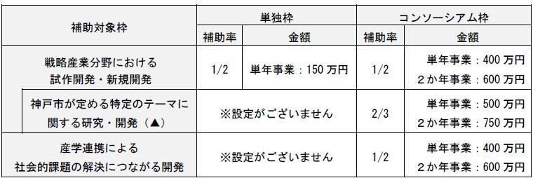 補助率・補助上限額（挑戦）